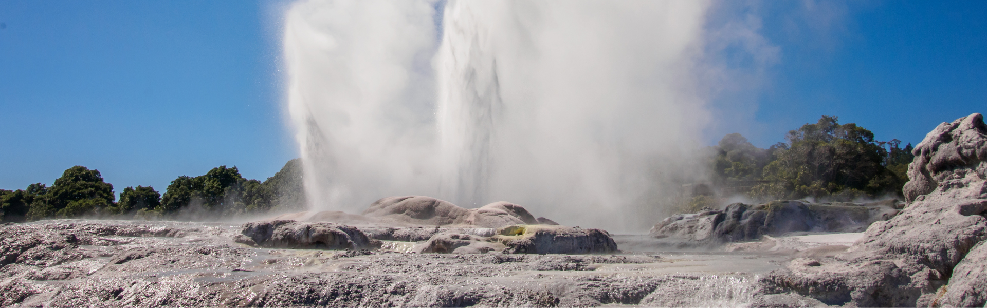 Things to Do in Rotorua with Kids